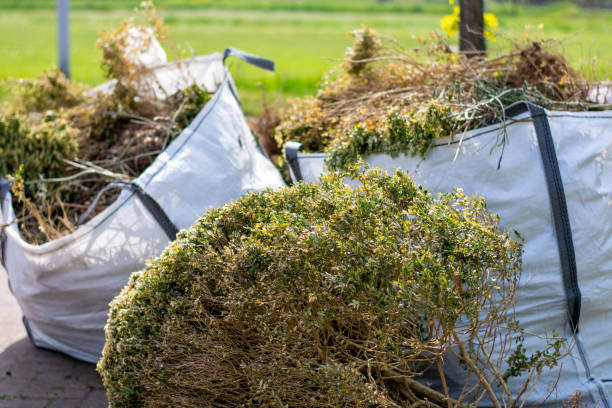 Best Junk Hauling Services  in Grayson, GA